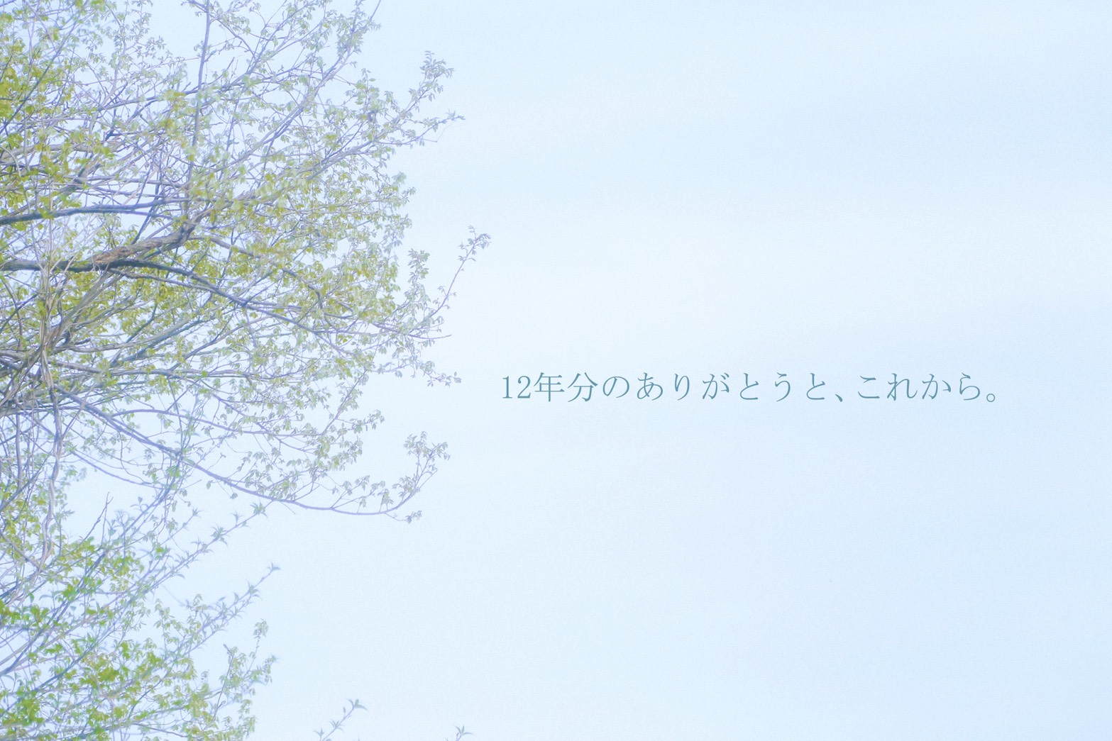📷ハーツスタジオNAGANOish 12年目に。